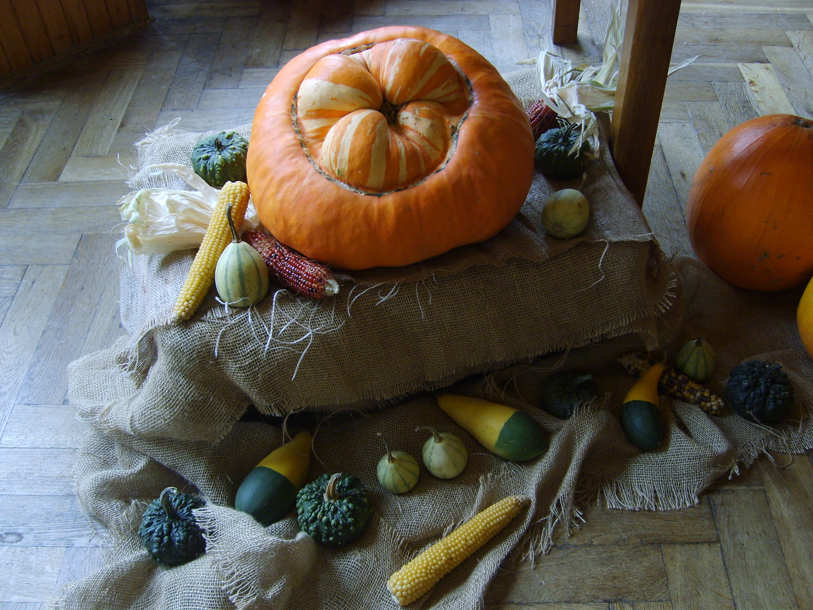 2009_10_25_Výstava ovoce a zeleniny 007.jpg